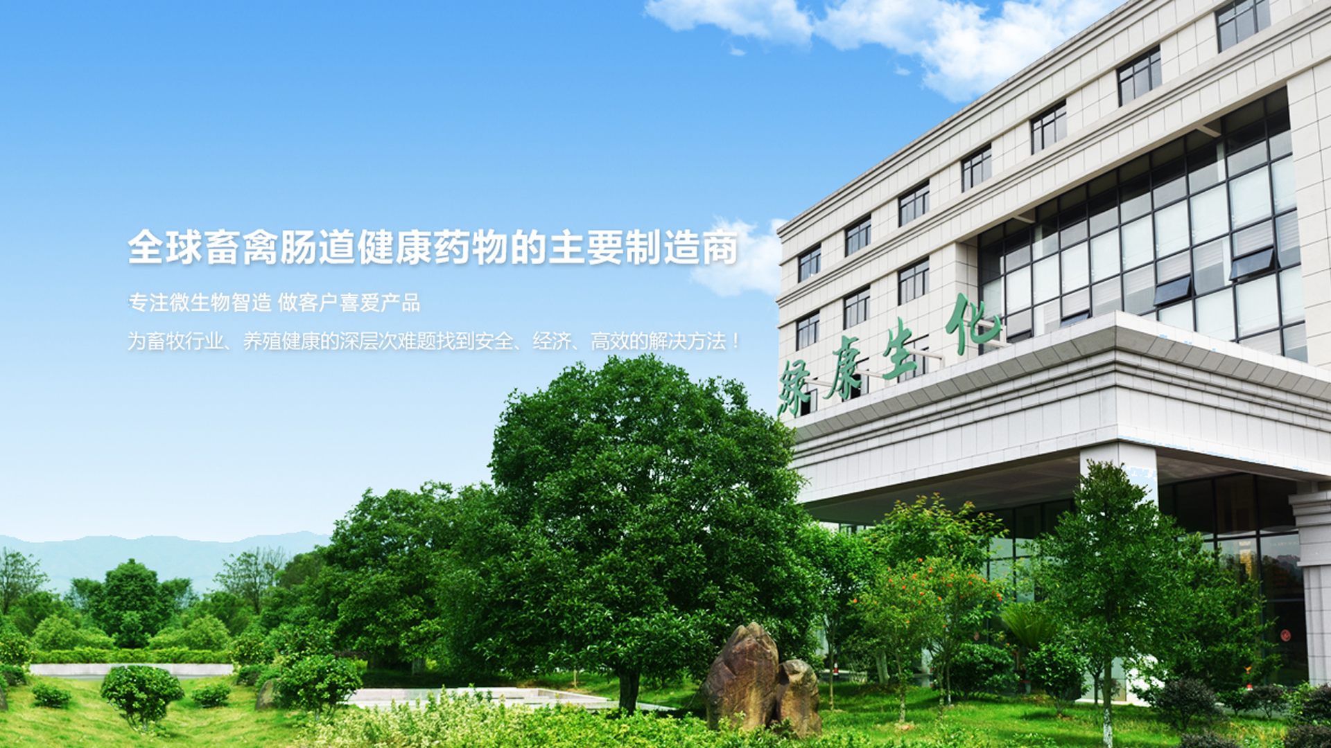 CA88 - ���ߵ�¼